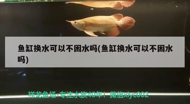 鱼缸换水可以不困水吗(鱼缸换水可以不困水吗)