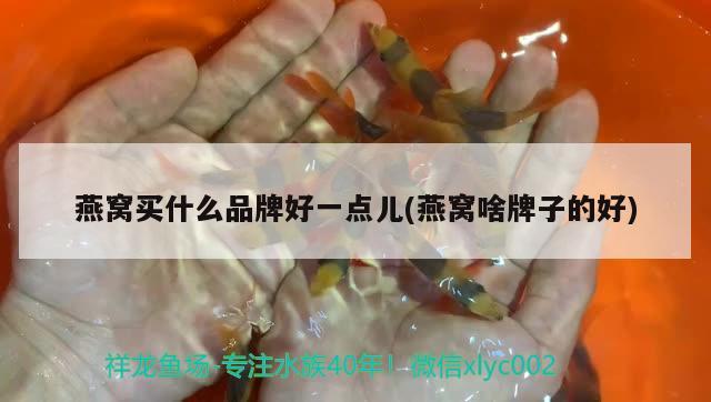 鱼缸水每天换一点合理吗?（鱼缸水每天换一点合理吗视频） 金龙鱼粮