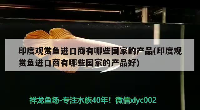 印度观赏鱼进口商有哪些国家的产品(印度观赏鱼进口商有哪些国家的产品好) 观赏鱼进出口