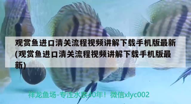 临平哪里有卖鱼缸的实体店啊电话号码：临平哪里有卖鱼缸的实体店啊电话号码查询 广州水族批发市场 第1张