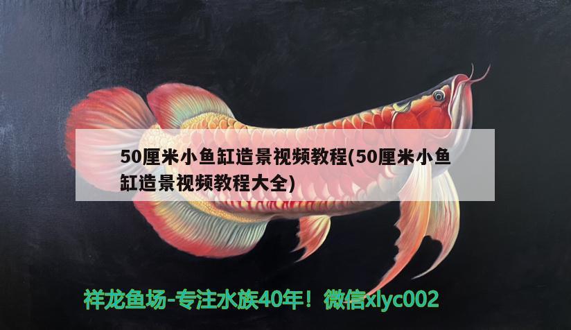 盛平恒生商贸（北京）有限公司沈阳分公司 全国水族馆企业名录 第3张