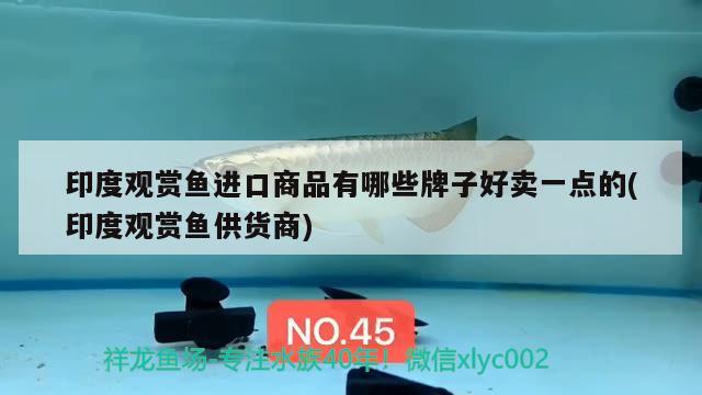 盛平恒生商贸（北京）有限公司沈阳分公司 全国水族馆企业名录 第2张