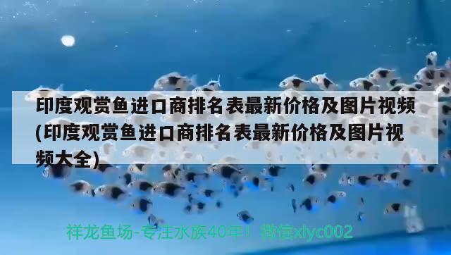 印度观赏鱼进口商排名表最新价格及图片视频(印度观赏鱼进口商排名表最新价格及图片视频大全) 观赏鱼进出口