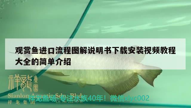 观赏鱼进口流程图解说明书下载安装视频教程大全的简单介绍 观赏鱼进出口