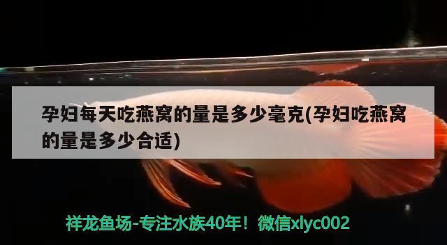 孕妇每天吃燕窝的量是多少毫克(孕妇吃燕窝的量是多少合适) 马来西亚燕窝