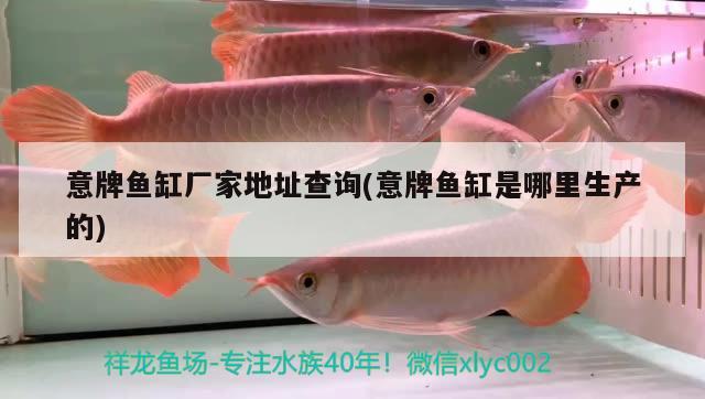 意牌鱼缸厂家地址查询(意牌鱼缸是哪里生产的) 祥龙水族护理水