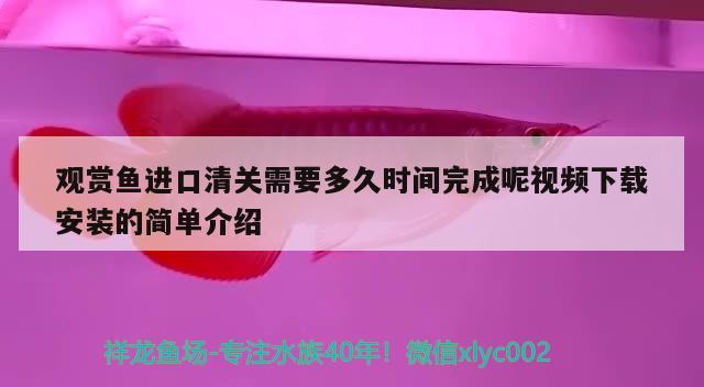 观赏鱼进口清关需要多久时间完成呢视频下载安装的简单介绍 观赏鱼进出口