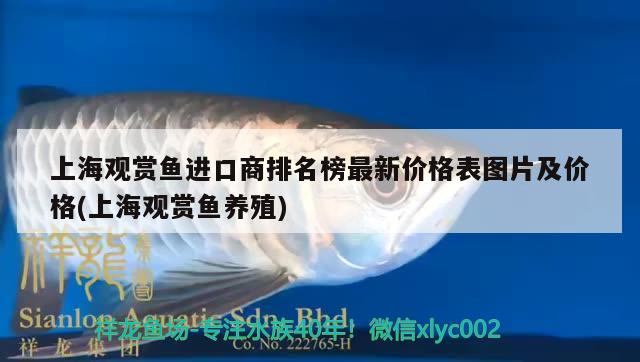 上海观赏鱼进口商排名榜最新价格表图片及价格(上海观赏鱼养殖) 观赏鱼进出口