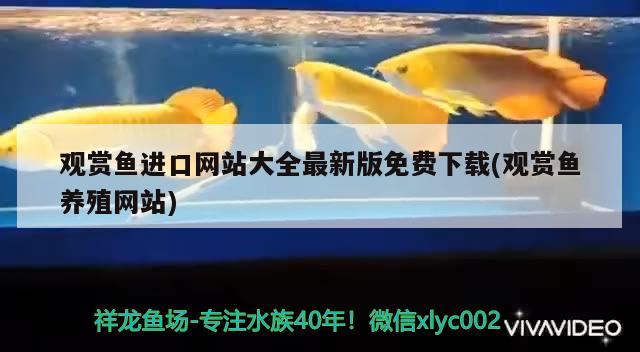 观赏鱼进口网站大全最新版免费下载(观赏鱼养殖网站) 观赏鱼进出口