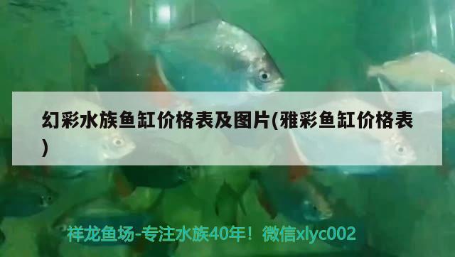 幻彩水族鱼缸价格表及图片(雅彩鱼缸价格表)