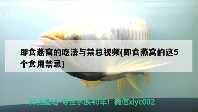 即食燕窝的吃法与禁忌视频(即食燕窝的这5个食用禁忌) 马来西亚燕窝