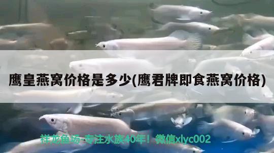 三湖慈鲷里什么鱼好看，珍珠罗汉鱼怎么养出好颜色 罗汉鱼 第1张