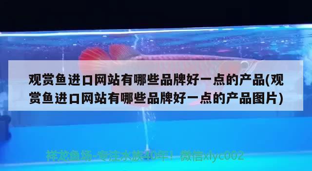 观赏鱼进口网站有哪些品牌好一点的产品(观赏鱼进口网站有哪些品牌好一点的产品图片)