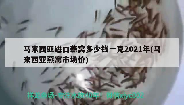 马来西亚进口燕窝多少钱一克2021年(马来西亚燕窝市场价) 马来西亚燕窝 第2张