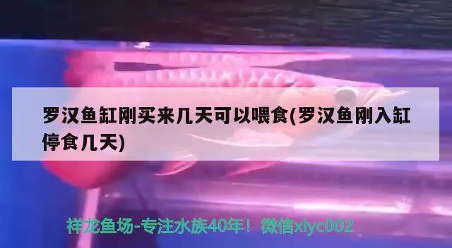 签到第八天 观赏鱼论坛 第2张