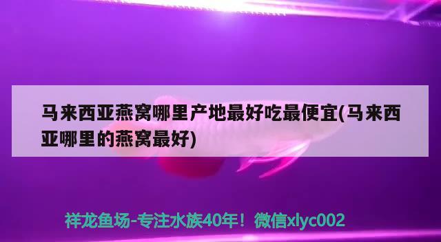 马来西亚燕窝哪里产地最好吃最便宜(马来西亚哪里的燕窝最好) 马来西亚燕窝