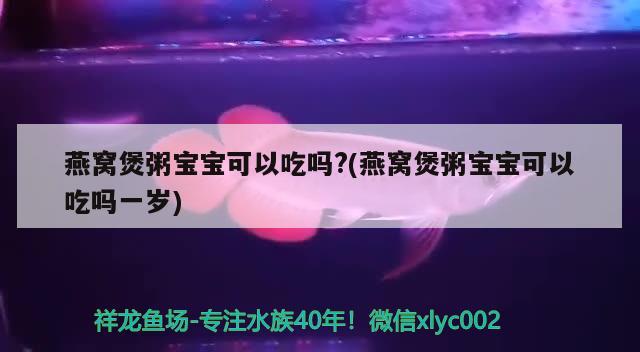 为什么鱼缸会长绿藻什么处理(鱼缸长绿藻原因) 元宝鲫 第2张