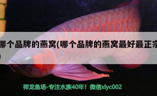 鱼缸铺底砂怎么算多少：鱼缸铺底砂多厚合适 广州水族批发市场 第2张