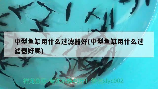 汝南县森森水族店 全国水族馆企业名录 第1张