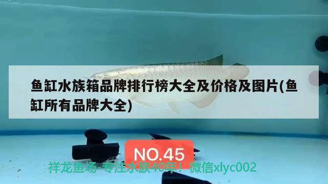 鱼缸水族箱品牌排行榜大全及价格及图片(鱼缸所有品牌大全) 鱼缸/水族箱