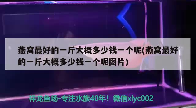 燕窝最好的一斤大概多少钱一个呢(燕窝最好的一斤大概多少钱一个呢图片) 马来西亚燕窝