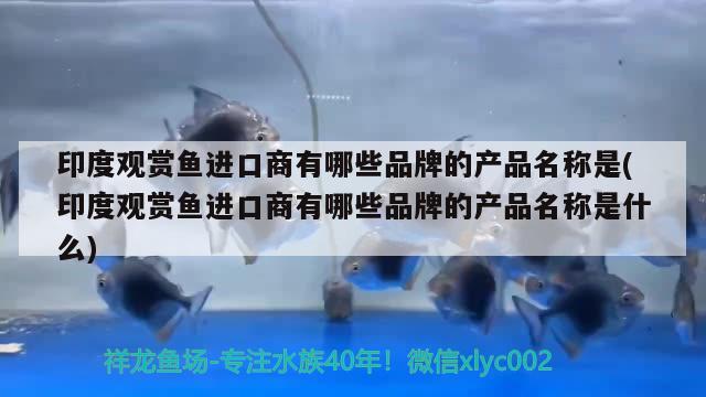 印度观赏鱼进口商有哪些品牌的产品名称是(印度观赏鱼进口商有哪些品牌的产品名称是什么) 观赏鱼进出口