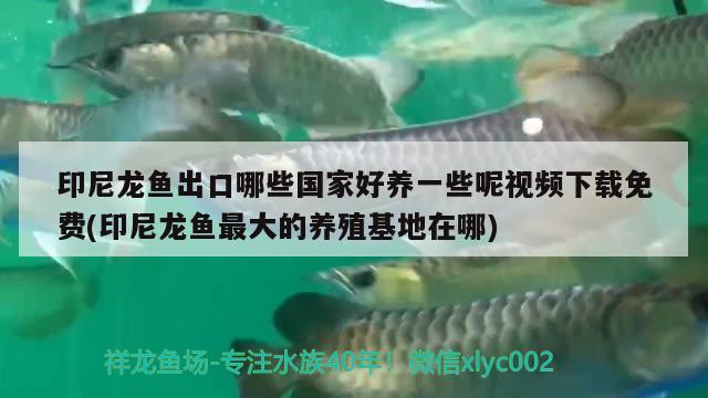 北京兰玉苑水族用品店 水族用品 第1张