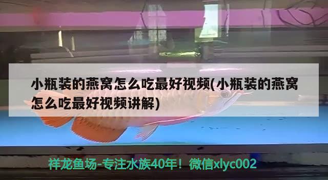 小瓶装的燕窝怎么吃最好视频(小瓶装的燕窝怎么吃最好视频讲解) 马来西亚燕窝