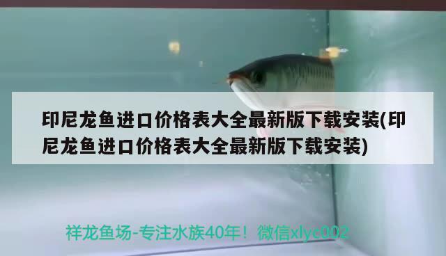 印尼龙鱼进口价格表大全最新版下载安装(印尼龙鱼进口价格表大全最新版下载安装)