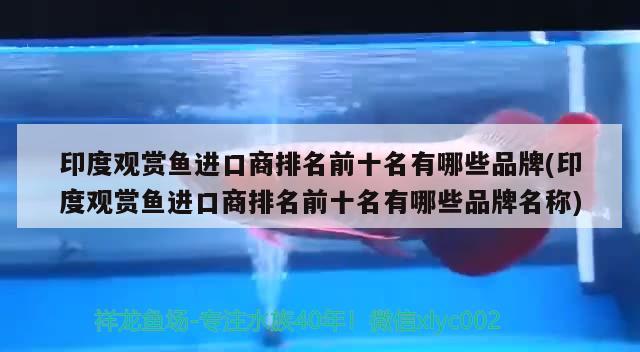 印度观赏鱼进口商排名前十名有哪些品牌(印度观赏鱼进口商排名前十名有哪些品牌名称)