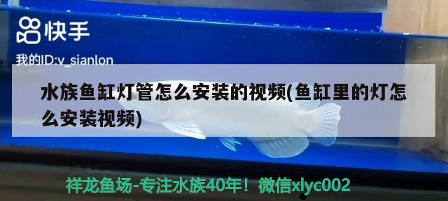 观赏鱼进口流程图解大全视频下载软件安装手机版(如何进口观赏鱼) 观赏鱼进出口