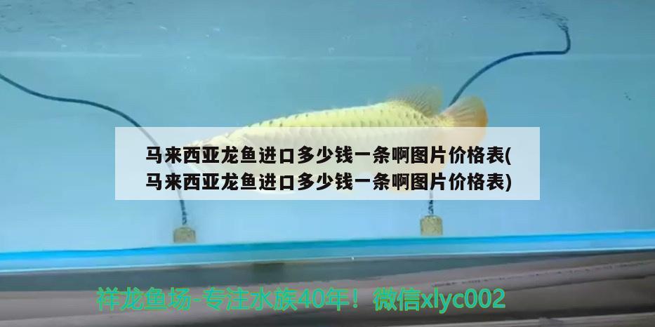 广州市荔湾区富丽水族市场芳芳水族店 全国水族馆企业名录 第3张