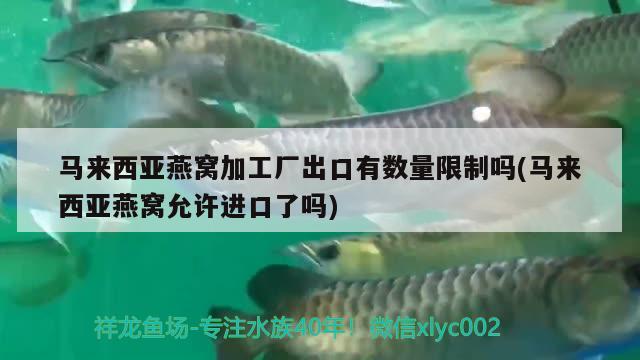 一根软管如何换水鱼缸 一根软管如何换水鱼缸视频 南美异形观赏鱼 第1张