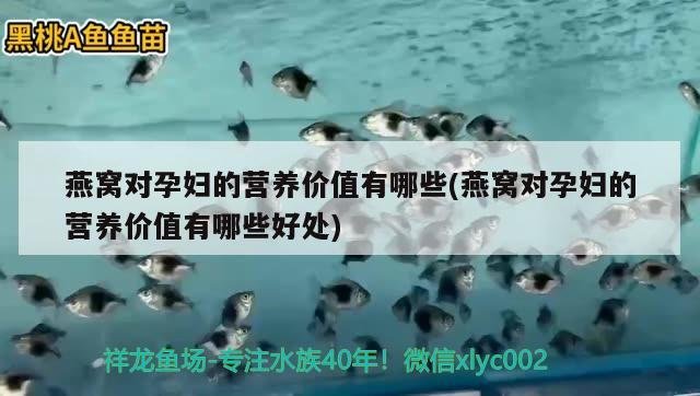 镇江水族批发市场地址在哪里啊多少钱（镇江观赏鱼市场） 养鱼知识 第2张