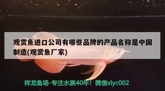 镇江水族批发市场地址在哪里啊多少钱（镇江观赏鱼市场） 养鱼知识 第1张