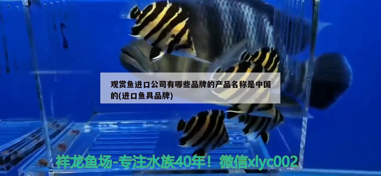 观赏鱼进口公司有哪些品牌的产品名称是中国的(进口鱼具品牌) 观赏鱼进出口