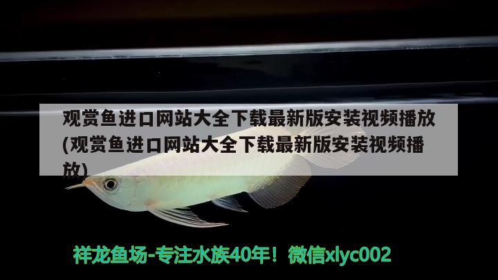 观赏鱼进口网站大全下载最新版安装视频播放(观赏鱼进口网站大全下载最新版安装视频播放) 观赏鱼进出口