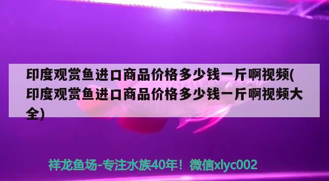 印度观赏鱼进口商品价格多少钱一斤啊视频(印度观赏鱼进口商品价格多少钱一斤啊视频大全)