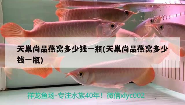 铜仁水族馆45公分 生态瓶/创意缸/桌面微景缸 第3张