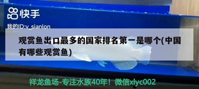 观赏鱼出口最多的国家排名第一是哪个(中国有哪些观赏鱼) 观赏鱼进出口 第1张