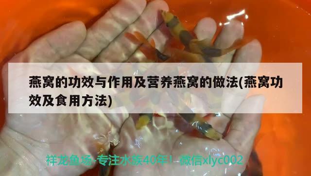 燕窝的功效与作用及营养燕窝的做法(燕窝功效及食用方法)