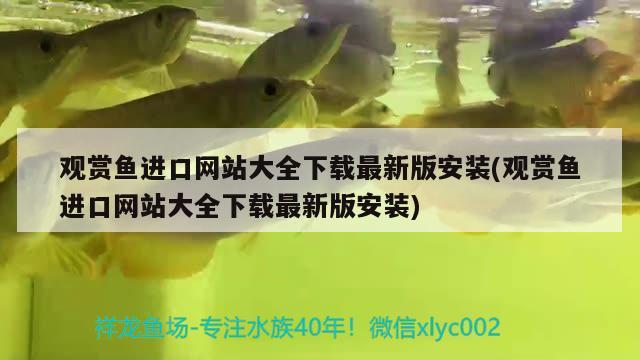 观赏鱼进口网站大全下载最新版安装(观赏鱼进口网站大全下载最新版安装)