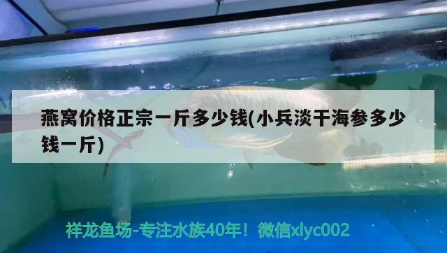 燕窝价格正宗一斤多少钱(小兵淡干海参多少钱一斤) 马来西亚燕窝