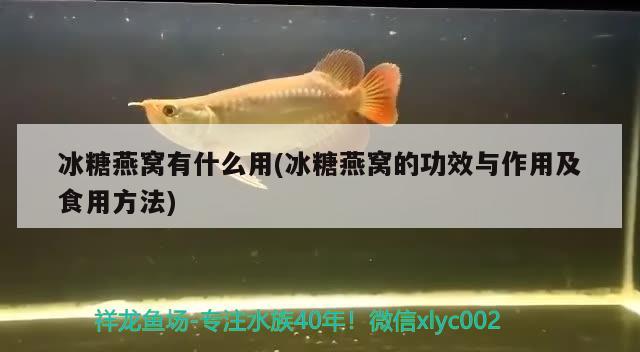 冰糖燕窝有什么用(冰糖燕窝的功效与作用及食用方法) 马来西亚燕窝