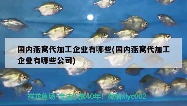 北京鱼缸厂家北京艾诺佳水族厂家北京艾诺佳水族市场，北京哪里买鱼缸比较便宜 喂食器 第2张