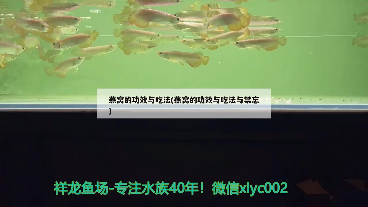 燕窝的功效与吃法(燕窝的功效与吃法与禁忘)