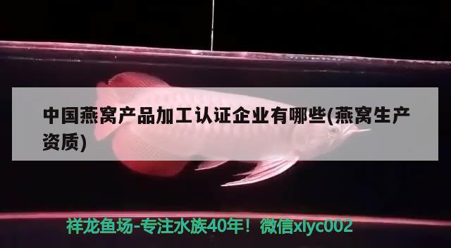 中国燕窝产品加工认证企业有哪些(燕窝生产资质) 马来西亚燕窝