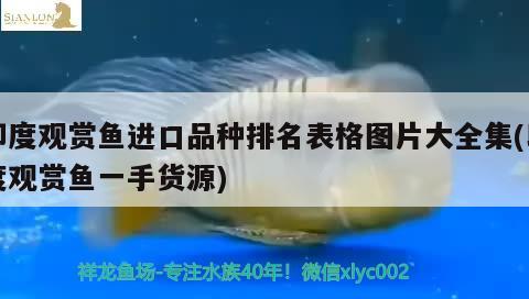 鱼缸水泵十大排名（最好的鱼缸水泵品牌排行榜） 鱼缸水泵 第2张