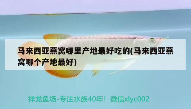 虾红素对龙鱼增色背景有利于金龙金质和底色的相关信息，水族箱养金龙的经验 鱼缸/水族箱 第1张