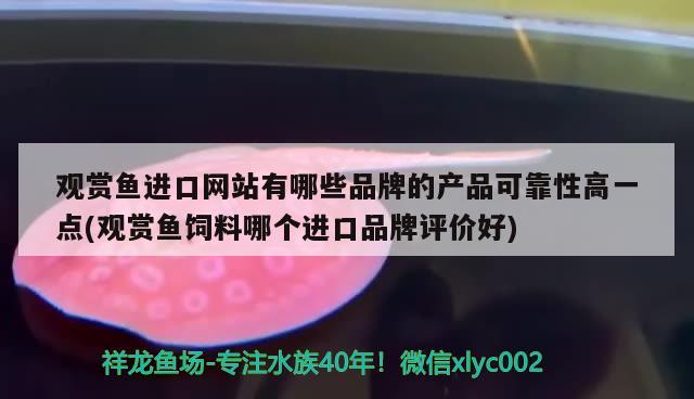 观赏鱼进口网站有哪些品牌的产品可靠性高一点(观赏鱼饲料哪个进口品牌评价好)